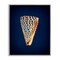 Stupell Industries Cone Shell on Blue Framed Giclee Wall Art Design by Graffi*tee Studios